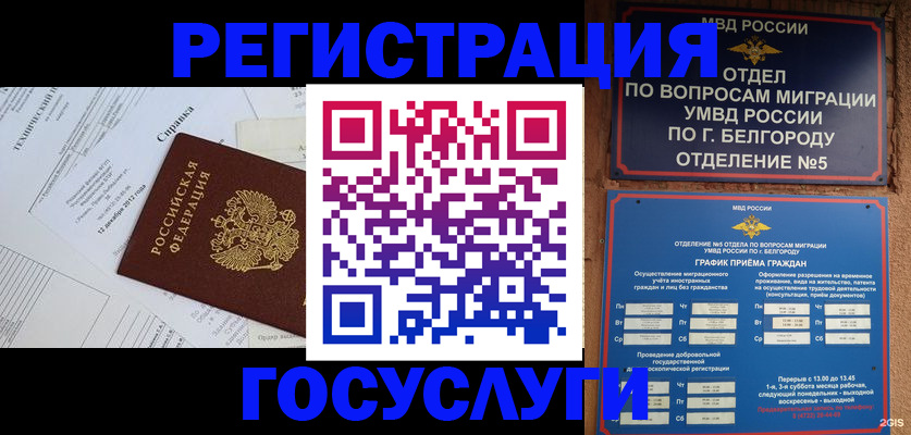 временная прописка в Североморске